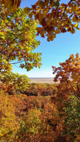 Осенние краски, Моховая падь