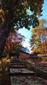 Осенняя пора в лагере педагогического университета, Моховая падь