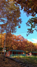 Настроение "осень", Моховая падь