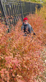 Канун Покрова Пресвятой Богородицы. Набережная реки Амур