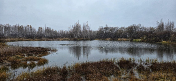 Первый снег (Серышевский округ)