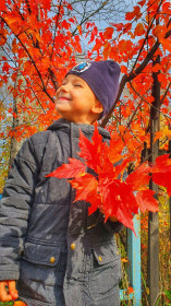 Яркая осень в Серышеве