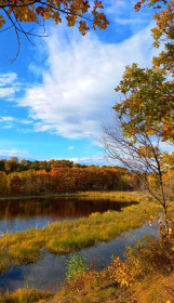 Дыхание осени, Моховая падь
