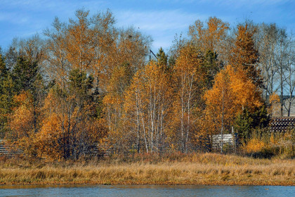 Осень, Шимановск