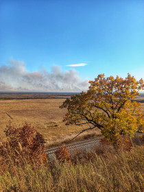 Амурская осень, Моховая падь