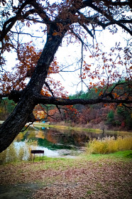 У озера на турбазе «Мухинка»