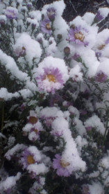 Зимняя осень, село Калинино