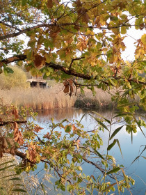 Просто красиво. Калинино