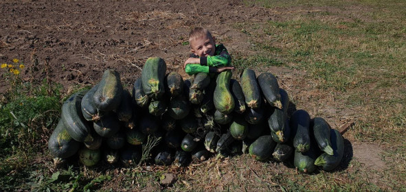 Осенняя крепость (Серышево)