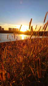 Осенний закат,Благовещенск