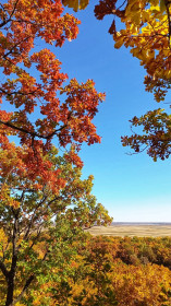 Краски амурской осени, Моховая падь
