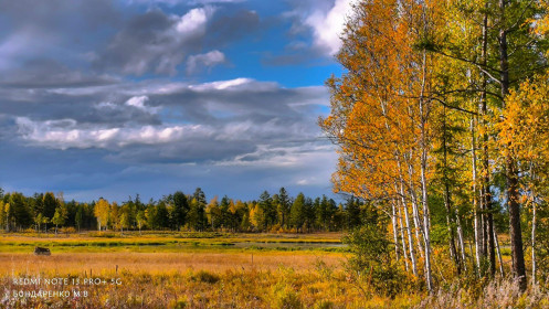 Северная осень в Тындинском округе