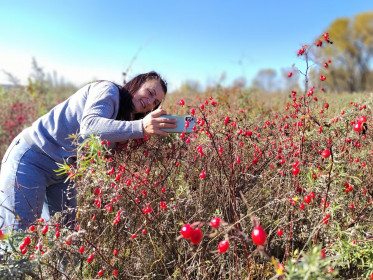 Просто осень
