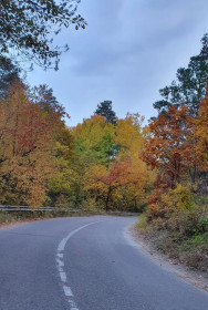 Осенняя дорога на Мухинку