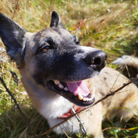 Ловим теплые лучи, с. Константиновка