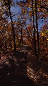 Первомайский парк, г. Благовещенск