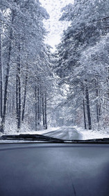 Снежная осень, п. Орлиный