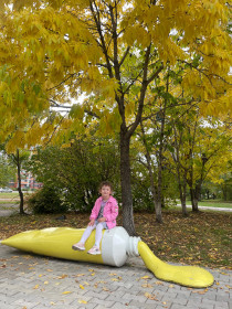 Осень разлила краски, г. Благовещенск, Игнатьевское шоссе