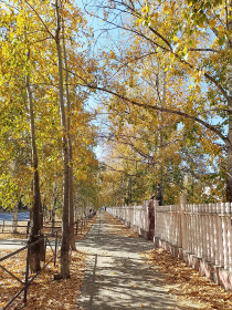Дорога в школу, г. Благовещенск