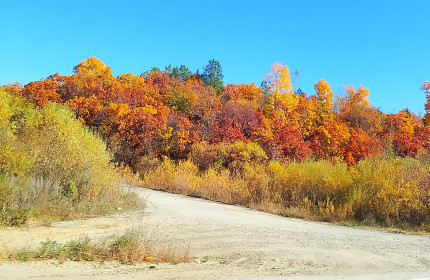 Краски осени, с. Игнатьево