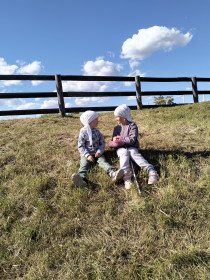 Огородники подводят итоги осенью