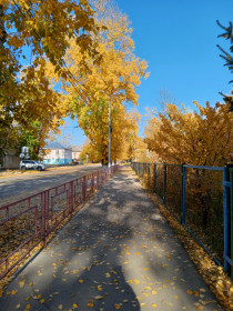 Просто осень