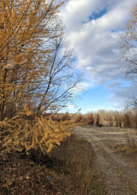 Вот и осень пришла... пгт Уруша