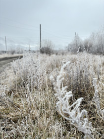 Ледяное дыхание утра, г. Благовещенск
