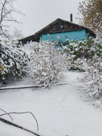 Первый снег❄️