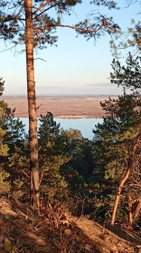 Осененняя красота