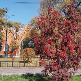 Осенняя набережная, г. Благовещенск