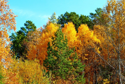 Природа красок не жалеет, г. Зея