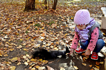 Доверие, г. Благовещенск