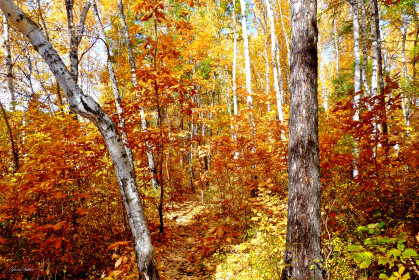 По осенней тропе, г. Зея