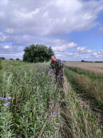 Осень, с. Сергеевка
