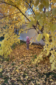 «Здравствуй, осень золотая!»