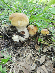 Релакс для души, п. Магдагачи