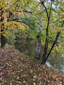 Амурская осень