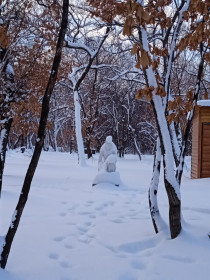 Зимний парк