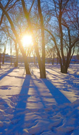 Зимняя нега