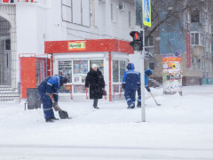 снег, снегопад, зима