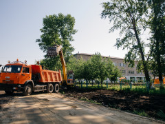 деревья, тополя