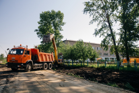 деревья, тополя