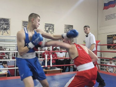 бокс, минспорта