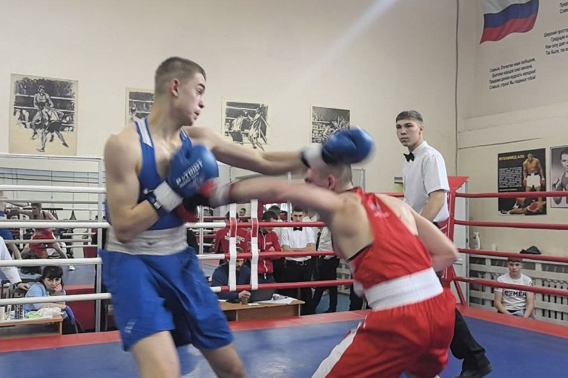 бокс, минспорта