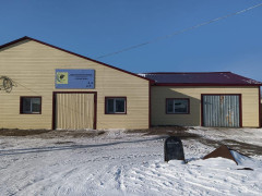 приют бездомные безнадзорные бродячие собаки теплый дом тамбовский округ