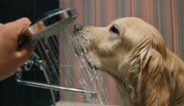 Глава Благовещенского округа прокомментировал ситуацию с водоснабжением в Чигирях