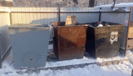 На контейнерных площадках Белогорска установили более 100 дополнительных мусорных баков