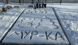 Мур-ка — не корова, а лошадь: снежную открытку нарисовали ученики и педагоги во дворе Муравьевской школы