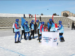 юкигассен, зимфестамур